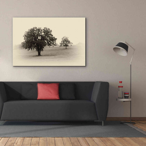 Image of 'Horses and Trees II' by Debra Van Swearingen, Canvas Wall Art,60 x 40