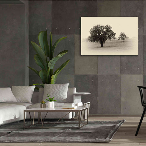 Image of 'Horses and Trees II' by Debra Van Swearingen, Canvas Wall Art,60 x 40