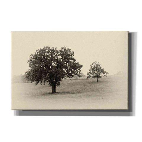 Image of 'Horses and Trees II' by Debra Van Swearingen, Canvas Wall Art,18x12x1.1x0,26x18x1.1x0,40x26x1.74x0,60x40x1.74x0