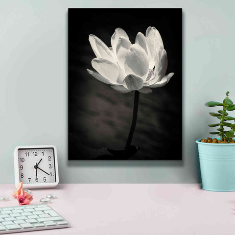 Image of 'Lotus Flower X' by Debra Van Swearingen, Canvas Wall Art,12 x 16