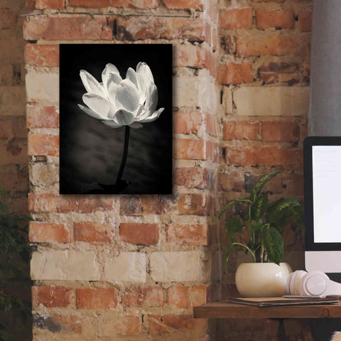 Image of 'Lotus Flower X' by Debra Van Swearingen, Canvas Wall Art,12 x 16