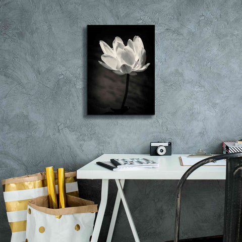 Image of 'Lotus Flower X' by Debra Van Swearingen, Canvas Wall Art,12 x 16