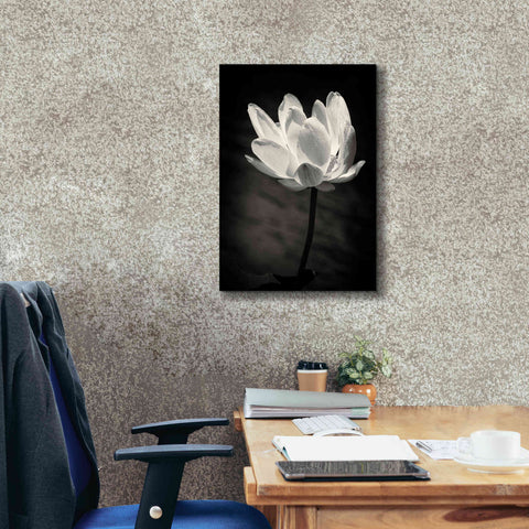 Image of 'Lotus Flower X' by Debra Van Swearingen, Canvas Wall Art,18 x 26