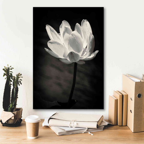 Image of 'Lotus Flower X' by Debra Van Swearingen, Canvas Wall Art,18 x 26