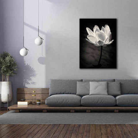 Image of 'Lotus Flower X' by Debra Van Swearingen, Canvas Wall Art,40 x 54