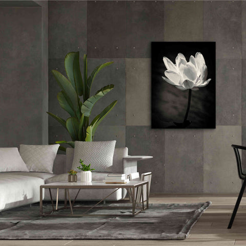 Image of 'Lotus Flower X' by Debra Van Swearingen, Canvas Wall Art,40 x 54
