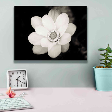 Image of 'Lotus Flower III' by Debra Van Swearingen, Canvas Wall Art,16 x 12