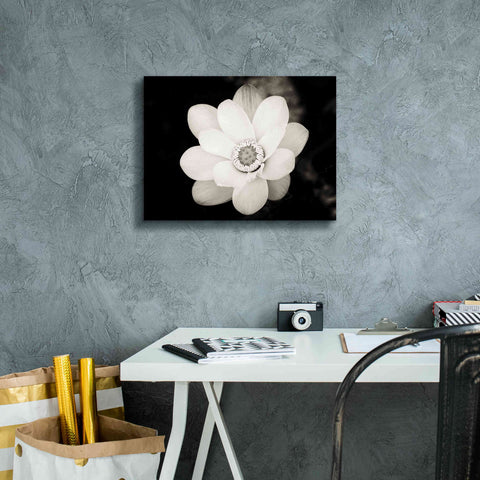 Image of 'Lotus Flower III' by Debra Van Swearingen, Canvas Wall Art,16 x 12