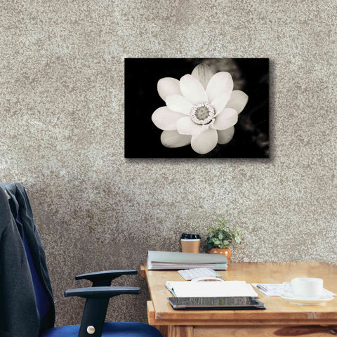 Image of 'Lotus Flower III' by Debra Van Swearingen, Canvas Wall Art,26 x 18