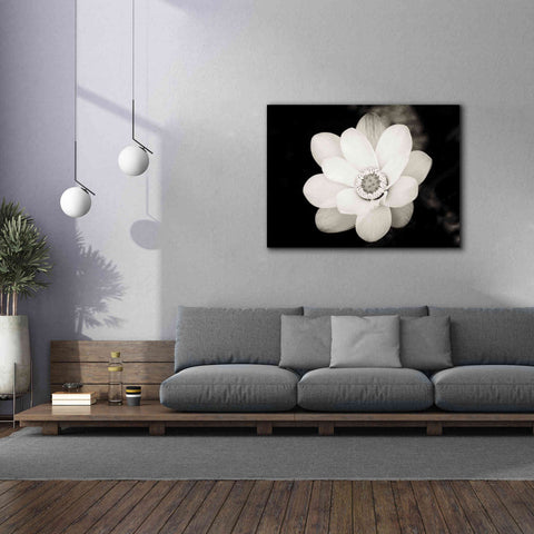 Image of 'Lotus Flower III' by Debra Van Swearingen, Canvas Wall Art,54 x 40