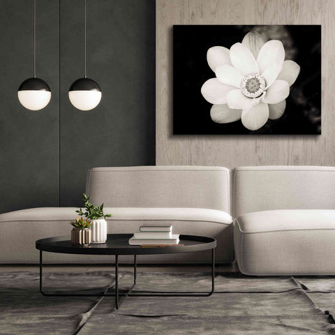 Image of 'Lotus Flower III' by Debra Van Swearingen, Canvas Wall Art,54 x 40