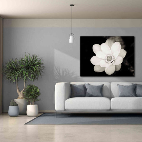 Image of 'Lotus Flower III' by Debra Van Swearingen, Canvas Wall Art,54 x 40