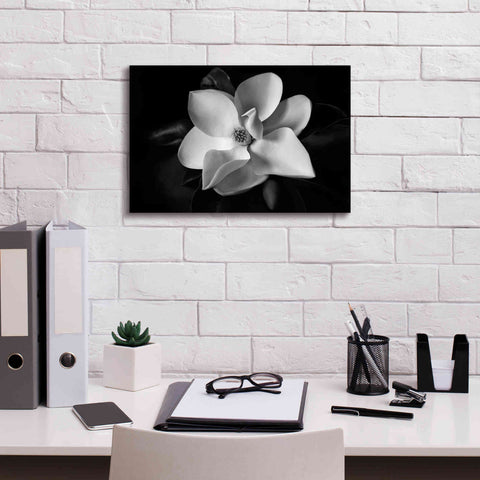 Image of 'SID14511_Magnolia' by Debra Van Swearingen, Canvas Wall Art,18 x 12