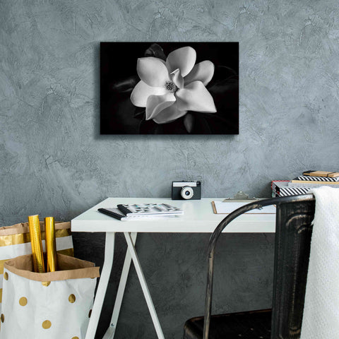 Image of 'SID14511_Magnolia' by Debra Van Swearingen, Canvas Wall Art,18 x 12