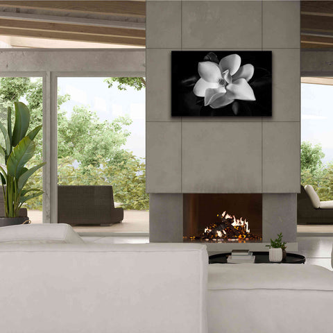 Image of 'SID14511_Magnolia' by Debra Van Swearingen, Canvas Wall Art,40 x 26