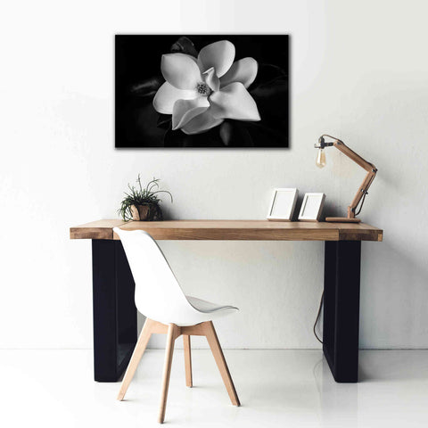 Image of 'SID14511_Magnolia' by Debra Van Swearingen, Canvas Wall Art,40 x 26
