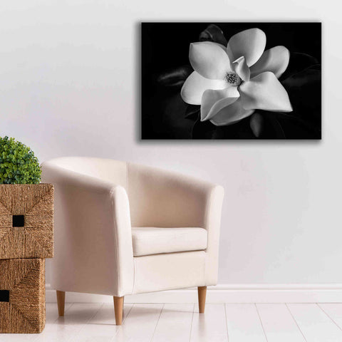 Image of 'SID14511_Magnolia' by Debra Van Swearingen, Canvas Wall Art,40 x 26