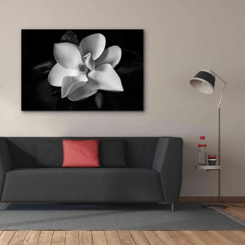 Image of 'SID14511_Magnolia' by Debra Van Swearingen, Canvas Wall Art,60 x 40