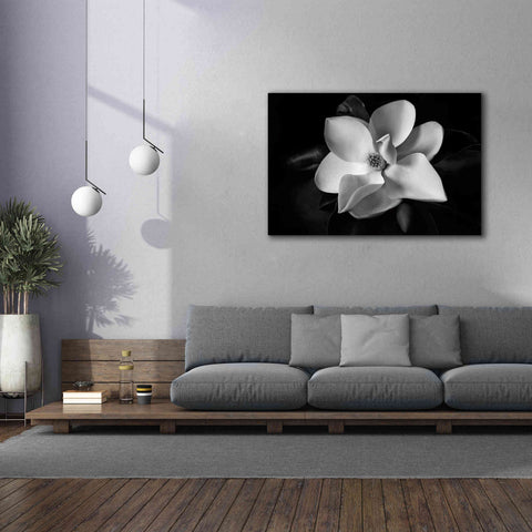 Image of 'SID14511_Magnolia' by Debra Van Swearingen, Canvas Wall Art,60 x 40
