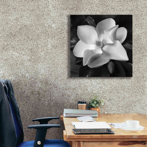 Image of 'Magnolia' by Debra Van Swearingen, Canvas Wall Art,26 x 26