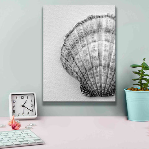 Image of 'On The Half Shell' by Debra Van Swearingen, Canvas Wall Art,12 x 16