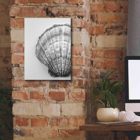 Image of 'On The Half Shell' by Debra Van Swearingen, Canvas Wall Art,12 x 16