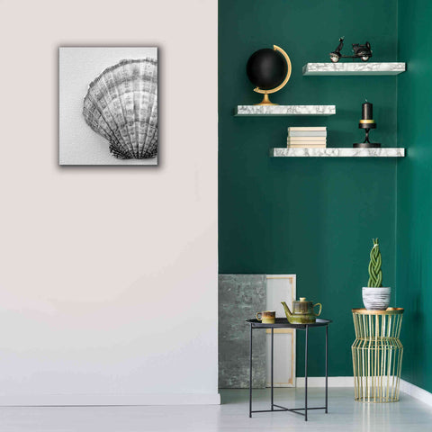 Image of 'On The Half Shell' by Debra Van Swearingen, Canvas Wall Art,20 x 24