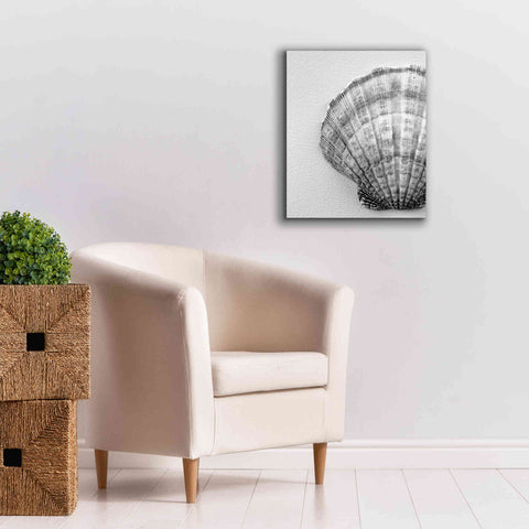 Image of 'On The Half Shell' by Debra Van Swearingen, Canvas Wall Art,20 x 24