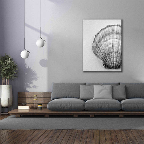 Image of 'On The Half Shell' by Debra Van Swearingen, Canvas Wall Art,40 x 54