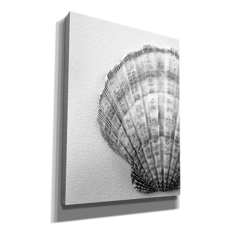Image of 'On The Half Shell' by Debra Van Swearingen, Canvas Wall Art,12x16x1.1x0,20x24x1.1x0,26x30x1.74x0,40x54x1.74x0