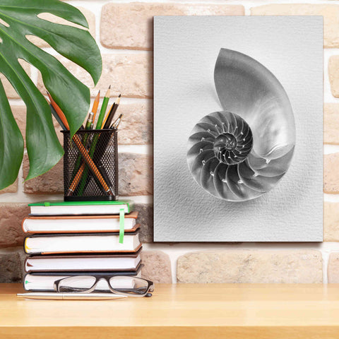 Image of 'Nautilus 4' by Debra Van Swearingen, Canvas Wall Art,12 x 16