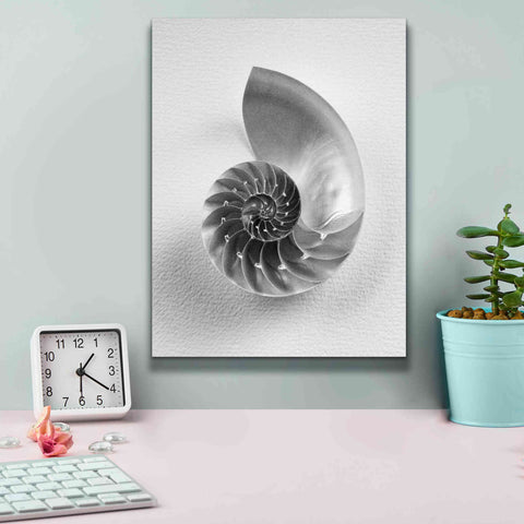 Image of 'Nautilus 4' by Debra Van Swearingen, Canvas Wall Art,12 x 16