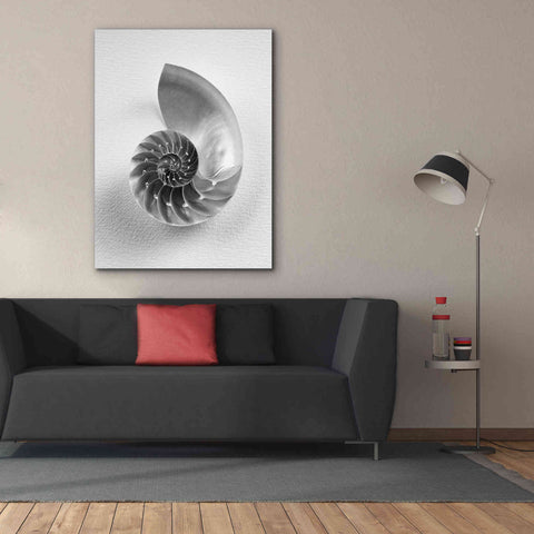 Image of 'Nautilus 4' by Debra Van Swearingen, Canvas Wall Art,40 x 54