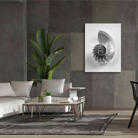 Image of 'Nautilus 4' by Debra Van Swearingen, Canvas Wall Art,40 x 54