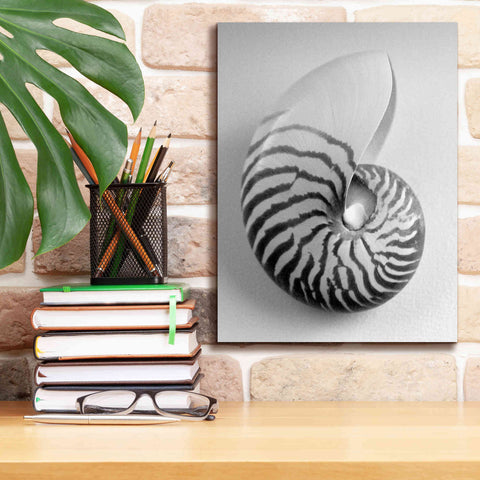 Image of 'Nautilus 2' by Debra Van Swearingen, Canvas Wall Art,12 x 16