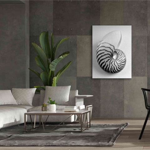 Image of 'Nautilus 2' by Debra Van Swearingen, Canvas Wall Art,40 x 54