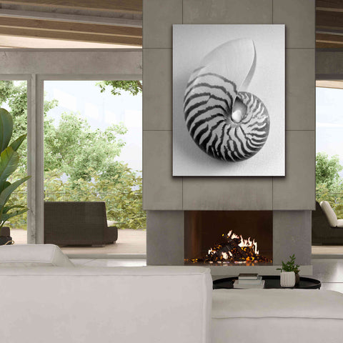 Image of 'Nautilus 2' by Debra Van Swearingen, Canvas Wall Art,40 x 54