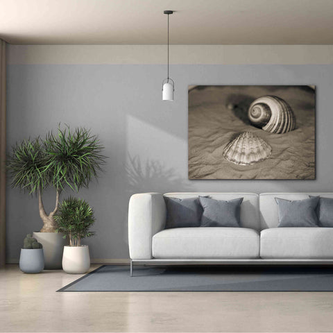 Image of 'Scallop Tonna' by Debra Van Swearingen, Canvas Wall Art,54 x 40