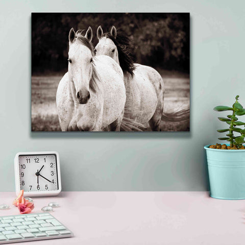 Image of 'Two Wild Horses Sepia' by Debra Van Swearingen, Canvas Wall Art,16 x 12