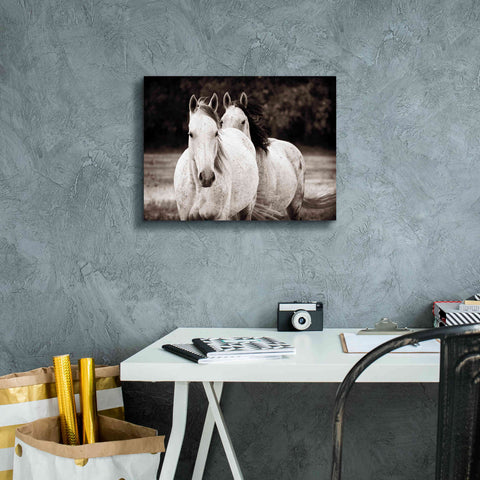 Image of 'Two Wild Horses Sepia' by Debra Van Swearingen, Canvas Wall Art,16 x 12