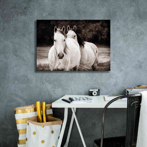 Image of 'Two Wild Horses Sepia' by Debra Van Swearingen, Canvas Wall Art,26 x 18