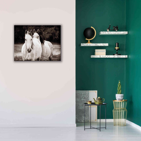Image of 'Two Wild Horses Sepia' by Debra Van Swearingen, Canvas Wall Art,34 x 26