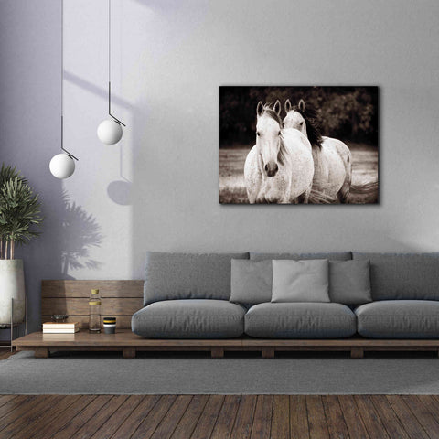 Image of 'Two Wild Horses Sepia' by Debra Van Swearingen, Canvas Wall Art,54 x 40