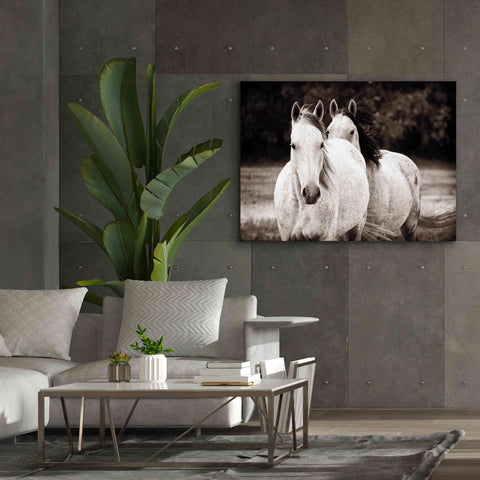 Image of 'Two Wild Horses Sepia' by Debra Van Swearingen, Canvas Wall Art,54 x 40
