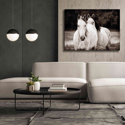 Image of 'Two Wild Horses Sepia' by Debra Van Swearingen, Canvas Wall Art,54 x 40