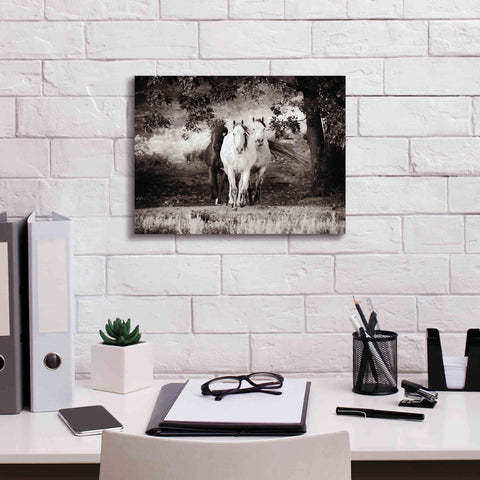 Image of 'Three Wild Horses Sepia' by Debra Van Swearingen, Canvas Wall Art,16 x 12