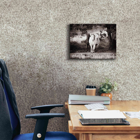 Image of 'Three Wild Horses Sepia' by Debra Van Swearingen, Canvas Wall Art,16 x 12