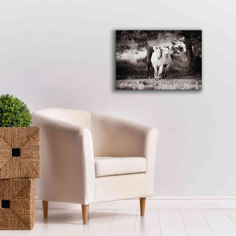Image of 'Three Wild Horses Sepia' by Debra Van Swearingen, Canvas Wall Art,26 x 18
