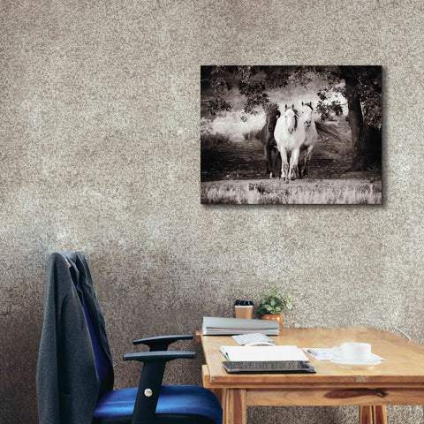 Image of 'Three Wild Horses Sepia' by Debra Van Swearingen, Canvas Wall Art,34 x 26