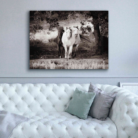 Image of 'Three Wild Horses Sepia' by Debra Van Swearingen, Canvas Wall Art,54 x 40